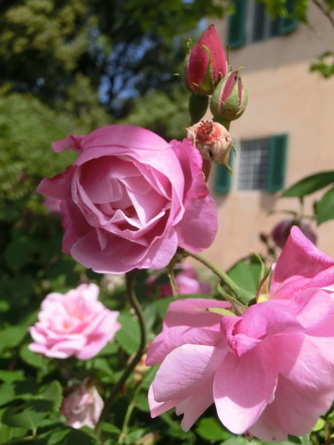 Villa Pacinottiピストイア エクステリア 写真