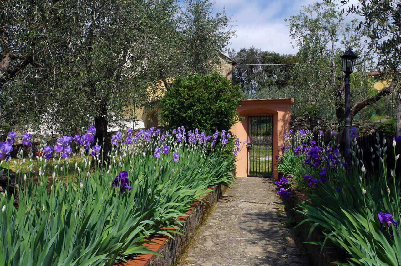 Villa Pacinottiピストイア エクステリア 写真